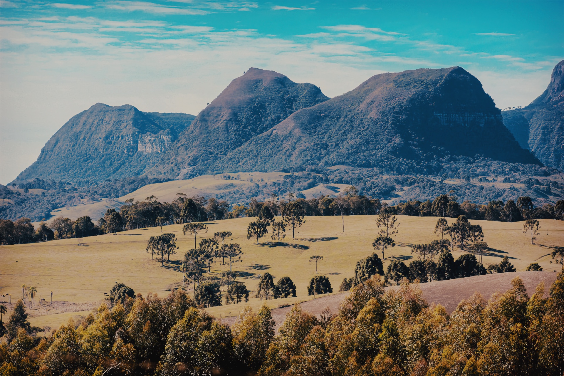 Montanhas de Alfredo Wagner ao amanhecer